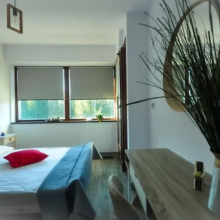 Silver Mountain B12 Apartment *