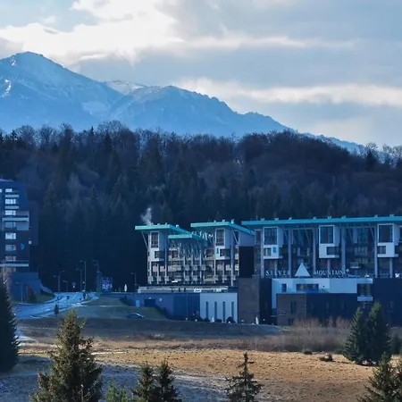 Silver Mountain B12 Apartment