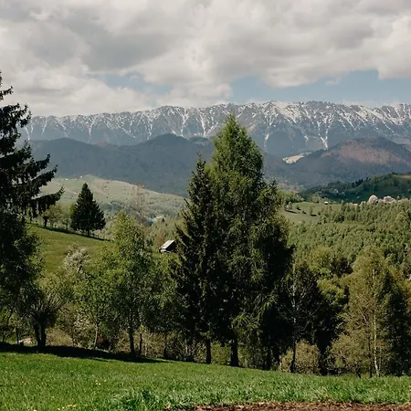 Silver Mountain B12 * Poiana Brasov
