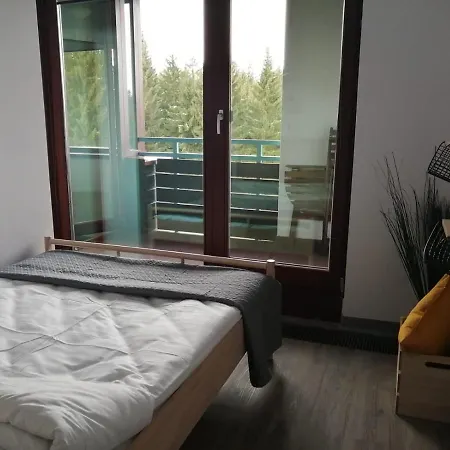Silver Mountain B12 Apartment